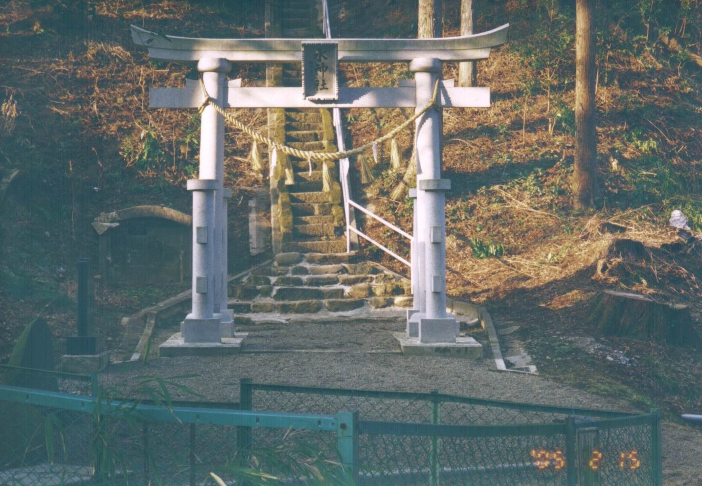 拡大画像