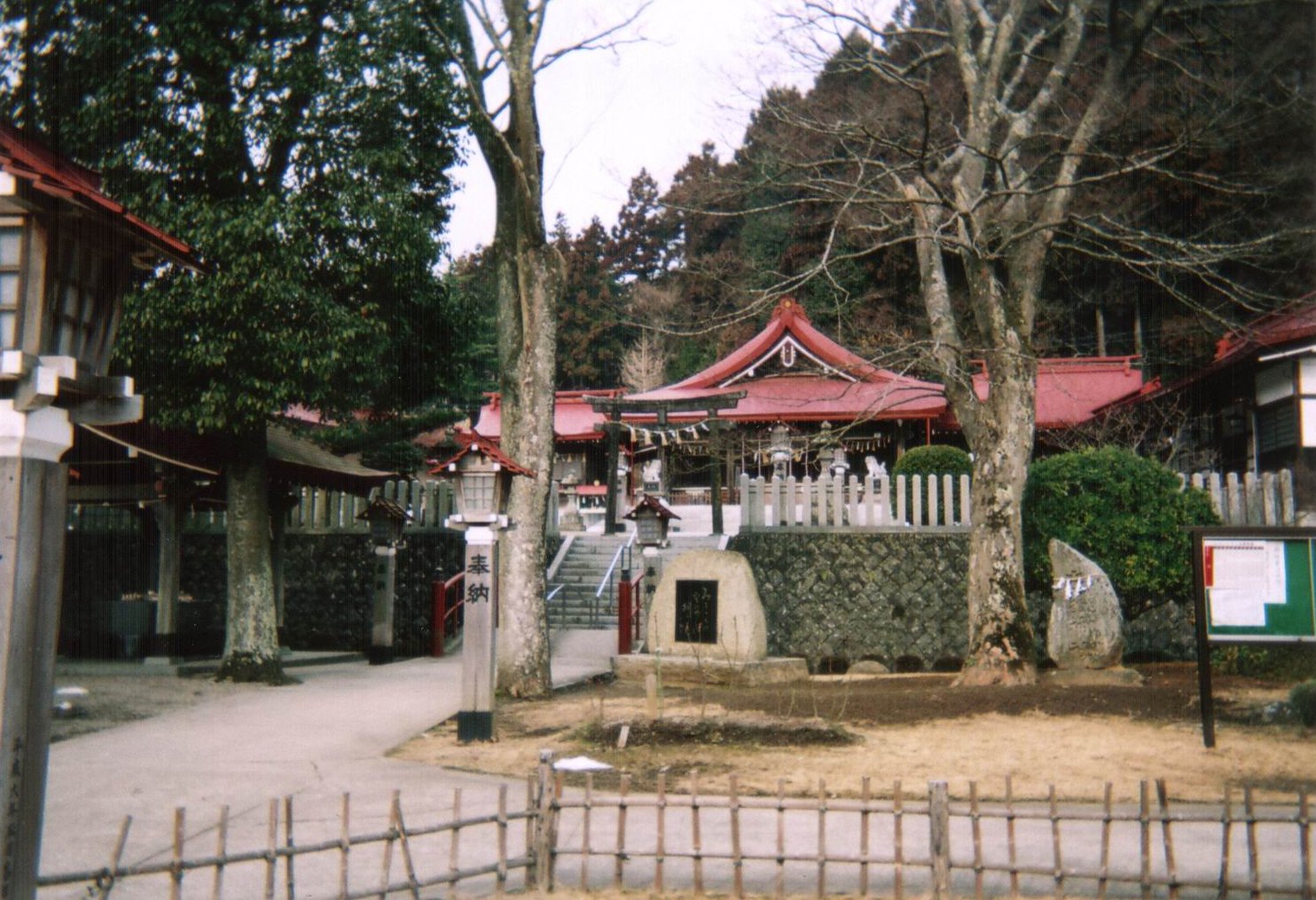 拡大画像