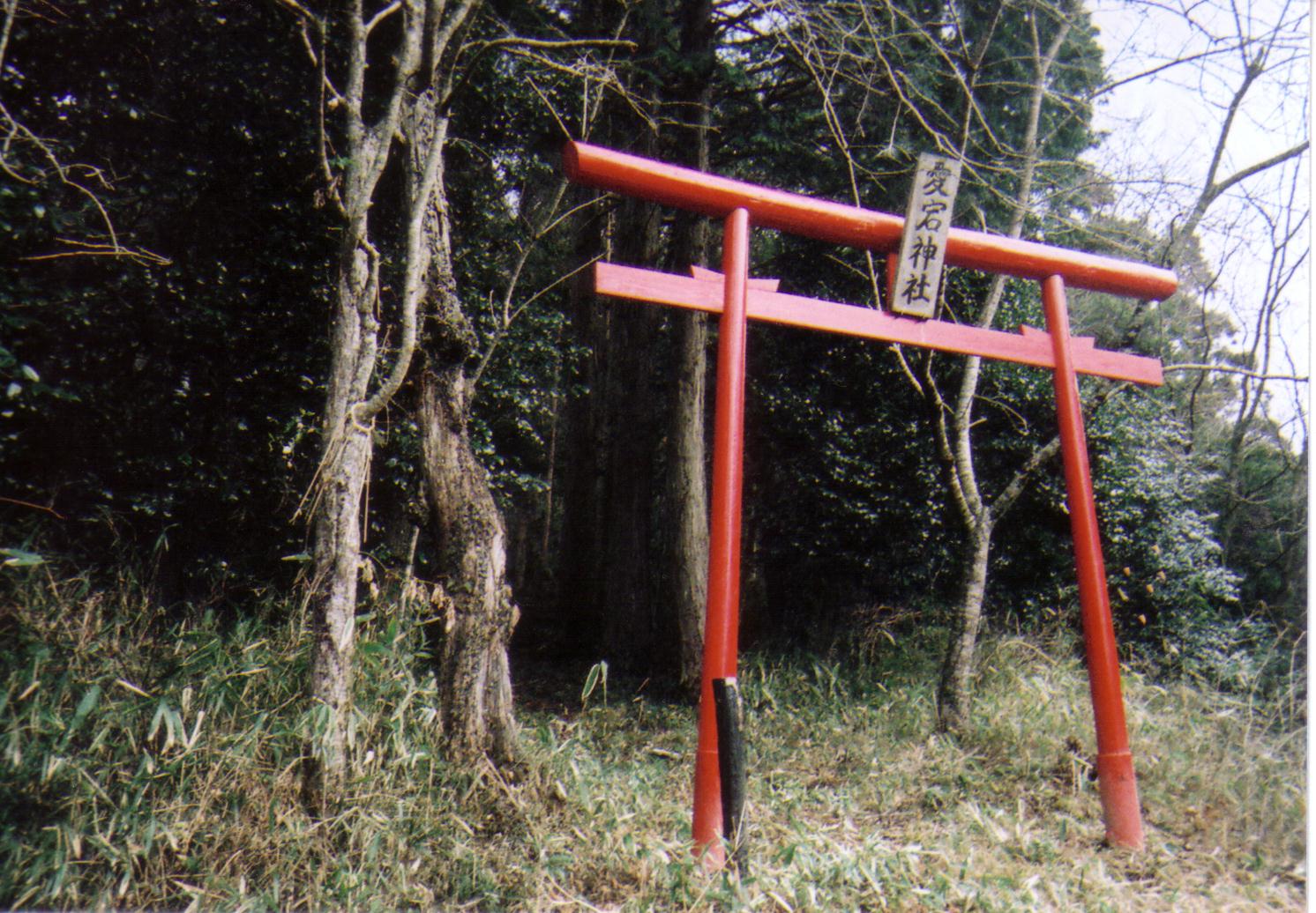 拡大画像