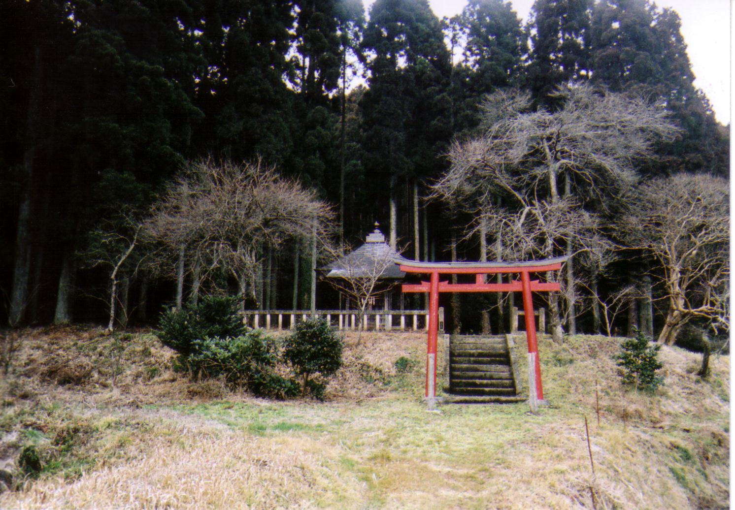 拡大画像
