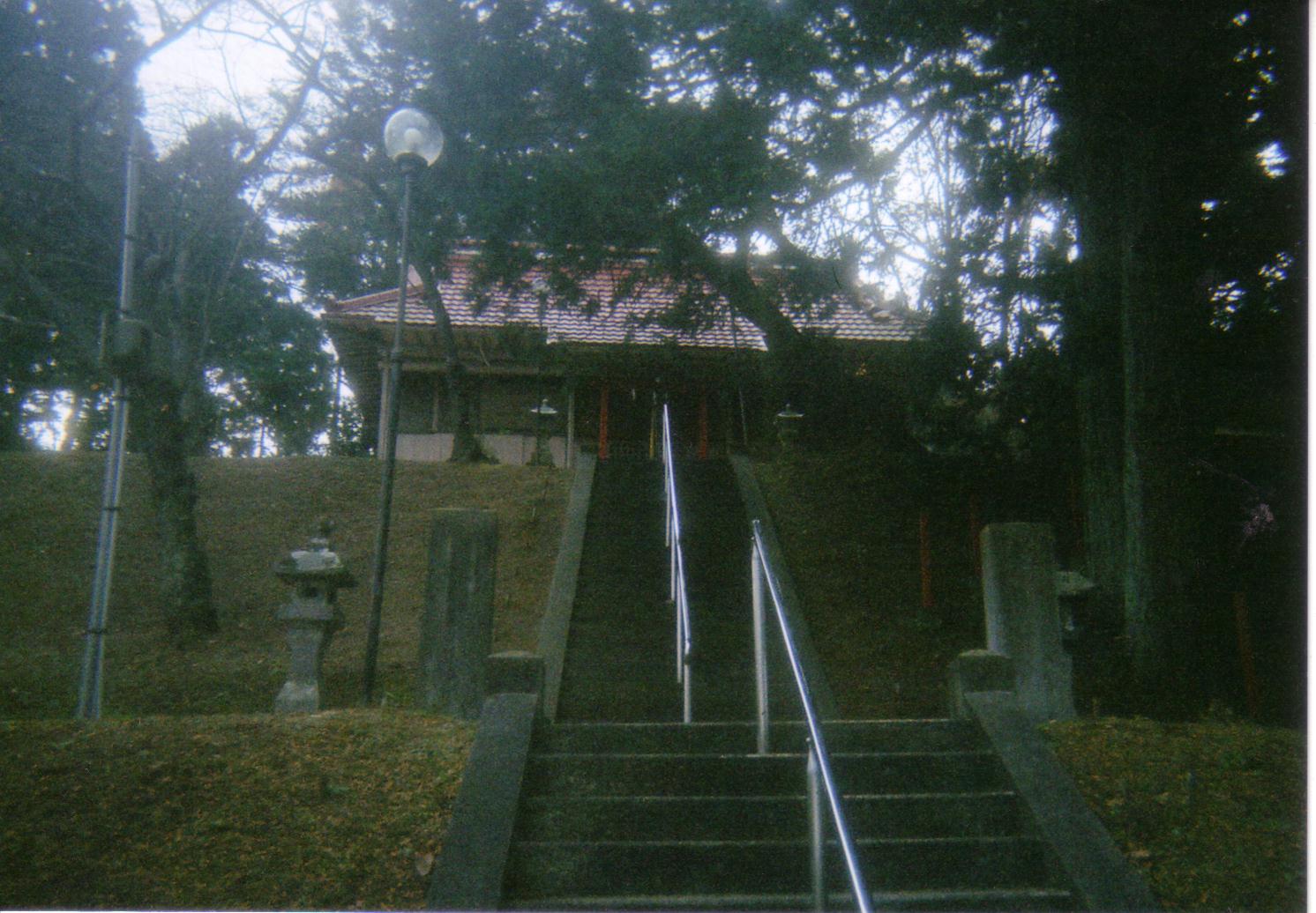 拡大画像