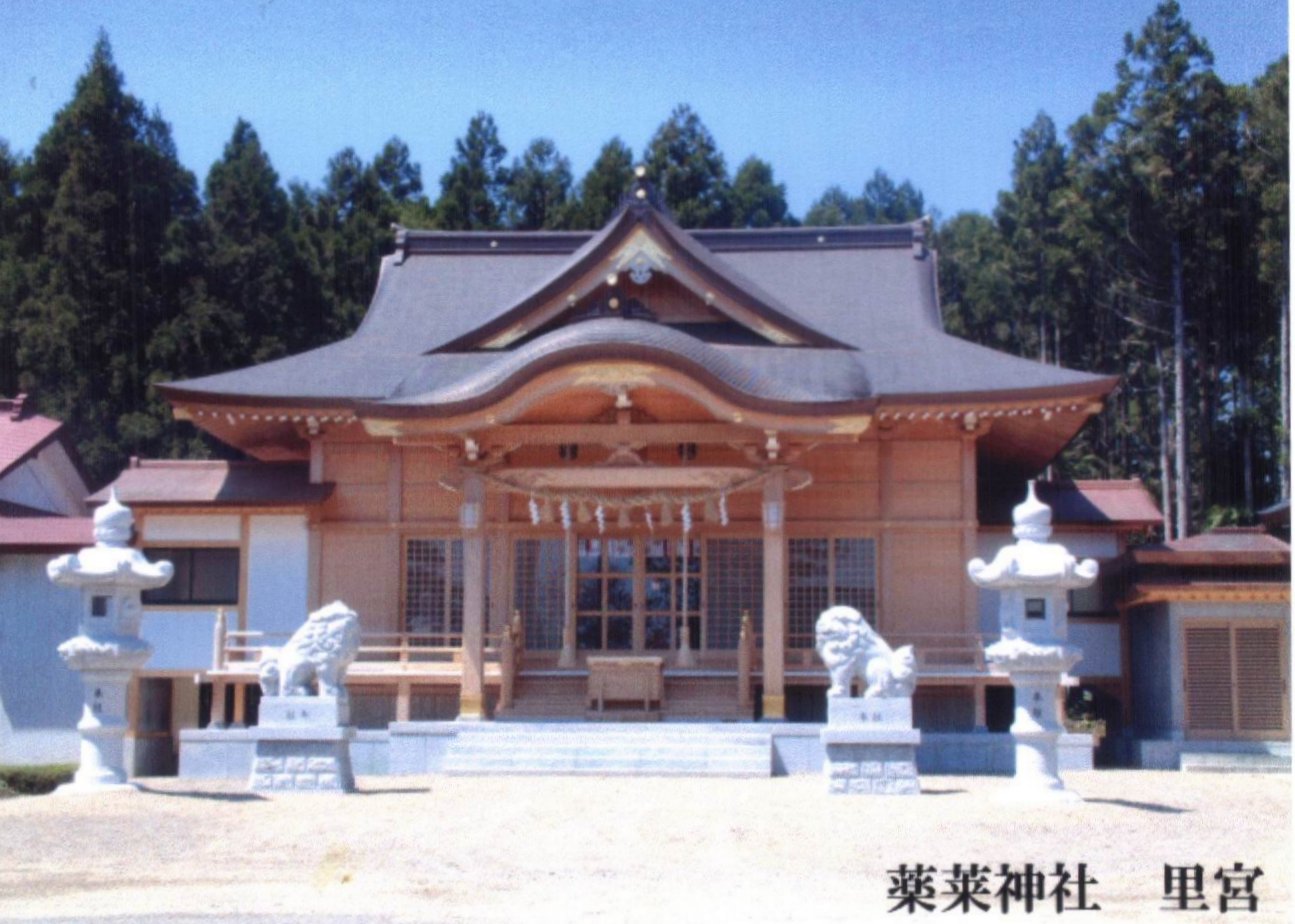 拡大画像