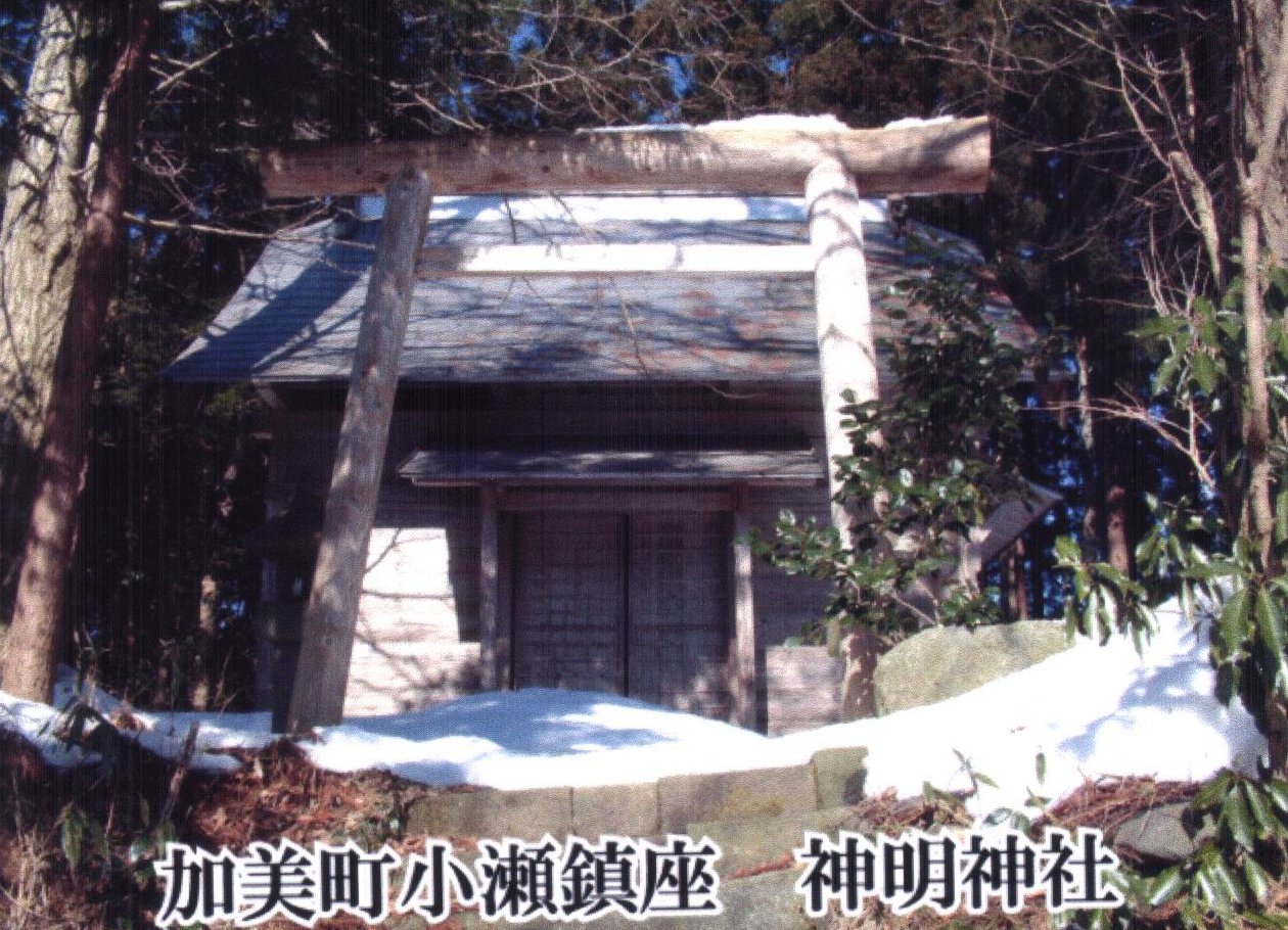 拡大画像