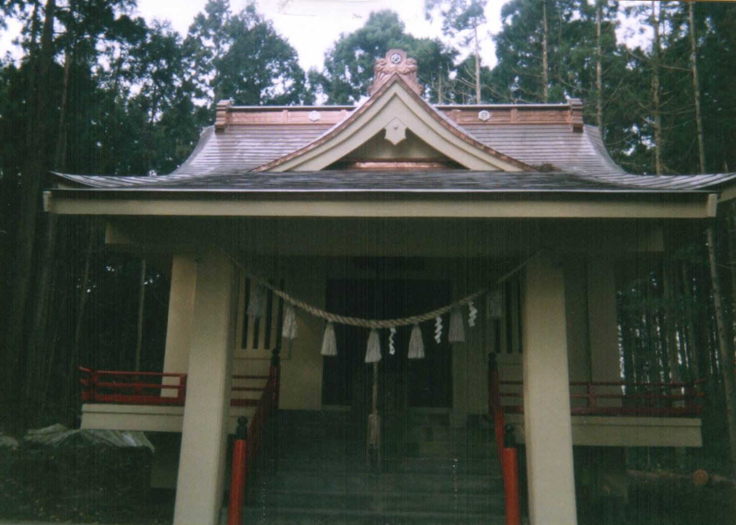 拡大画像