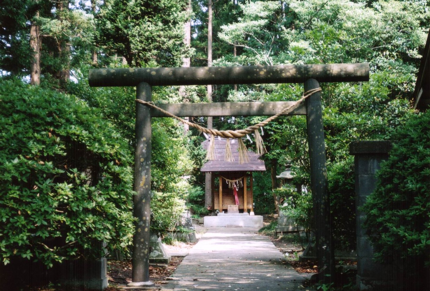 拡大画像