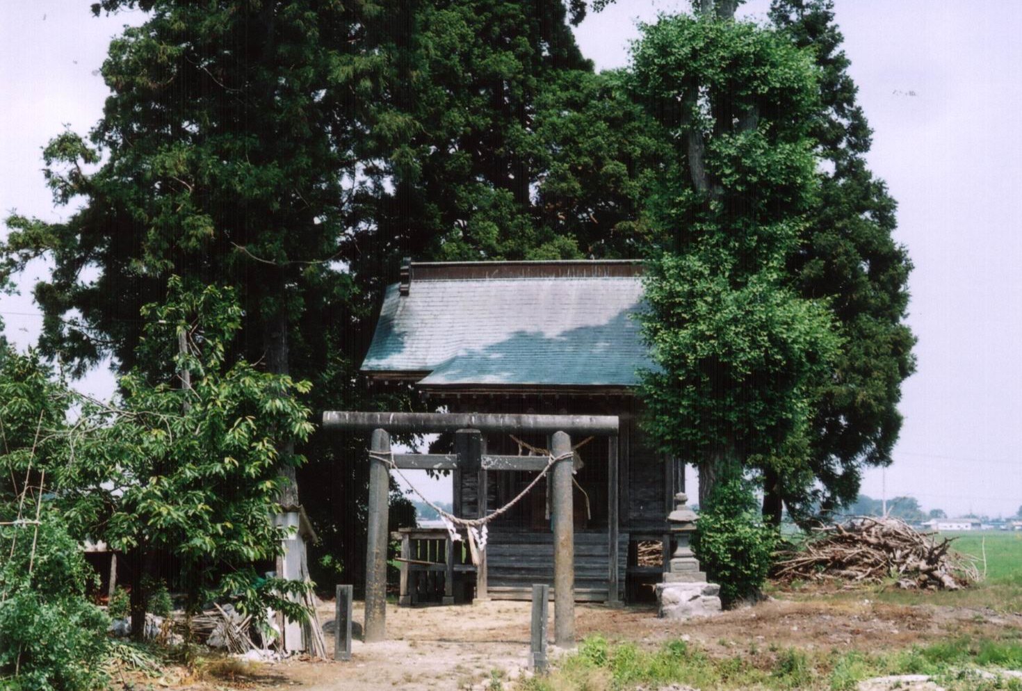 拡大画像