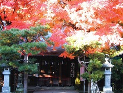 櫻岡大神宮