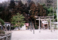 紫神社
