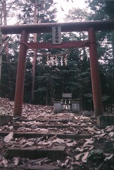 雷光天神社