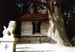 水神社