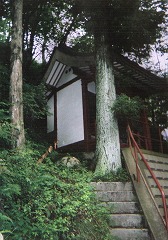 大杉神社