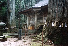 羽田神社