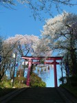 　榴ヶ岡天満宮　